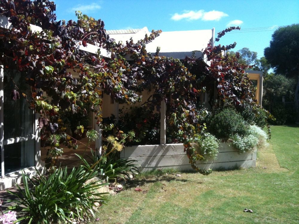 Bellevue Bed&Breakfast Mclaren Vale Exterior foto
